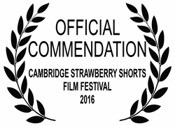 commendation laurels 2016