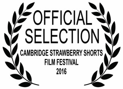 official selection laurels 2016